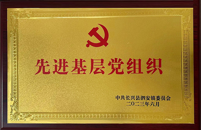 Organizzazioni avanzate